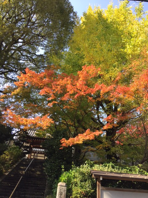 招善寺の紅葉